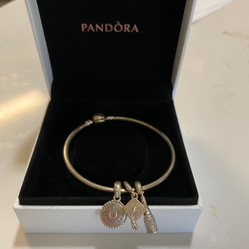 Pandora Moments Bangle Bracelet
